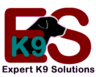 EK9S Logo