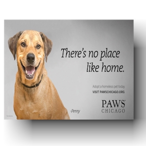 PAWS